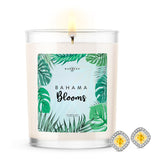 Bahama Blooms Scented Premium 10 oz Candle and Jewelry